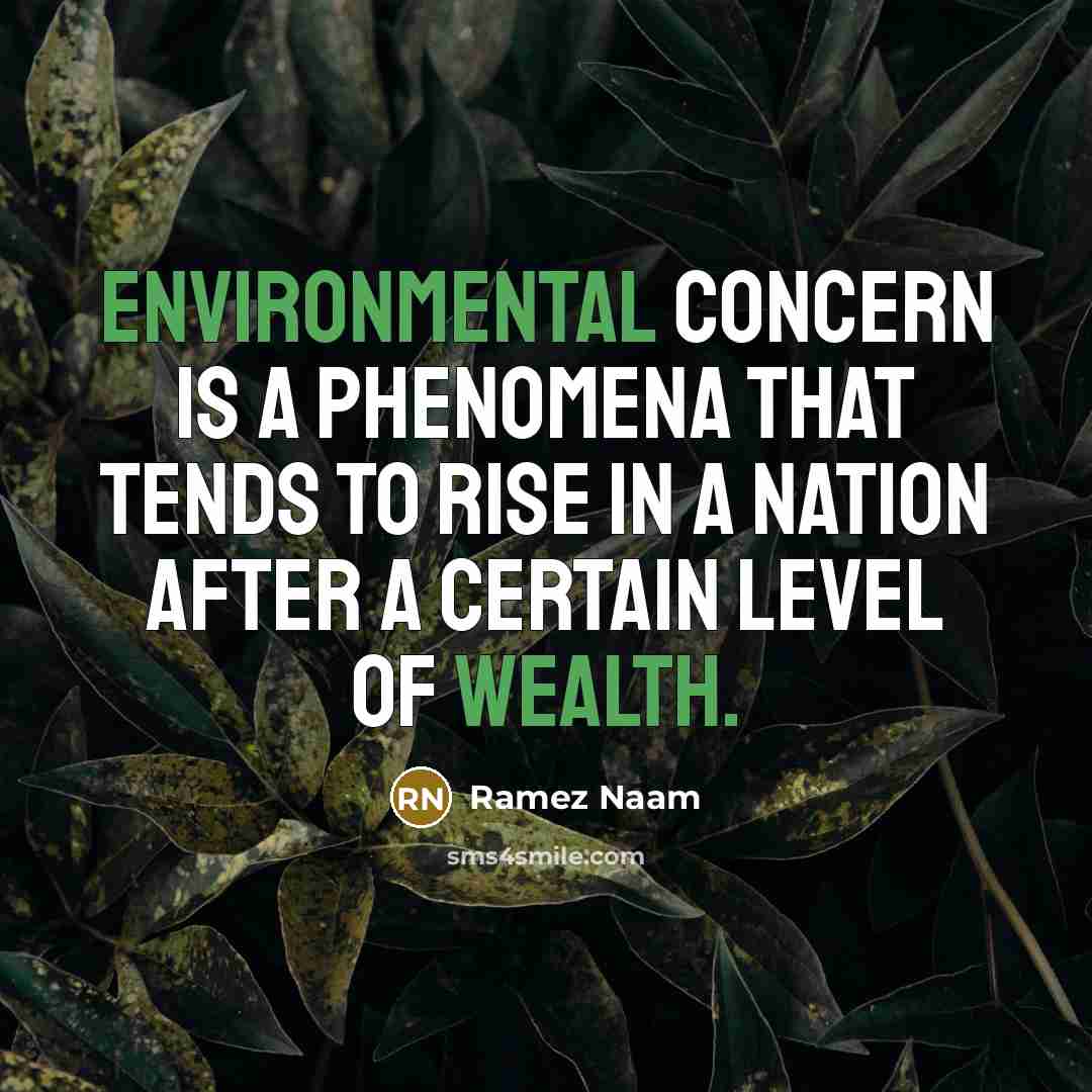 “Environmental concern is a phenomena that tends to rise in a nation after a certain level of wealth.” quote by Ramez Naam