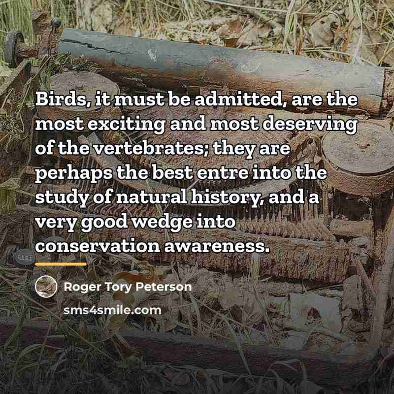 “Birds, it must be admitted, are the most exciting and…” quote by Roger Tory Peterson