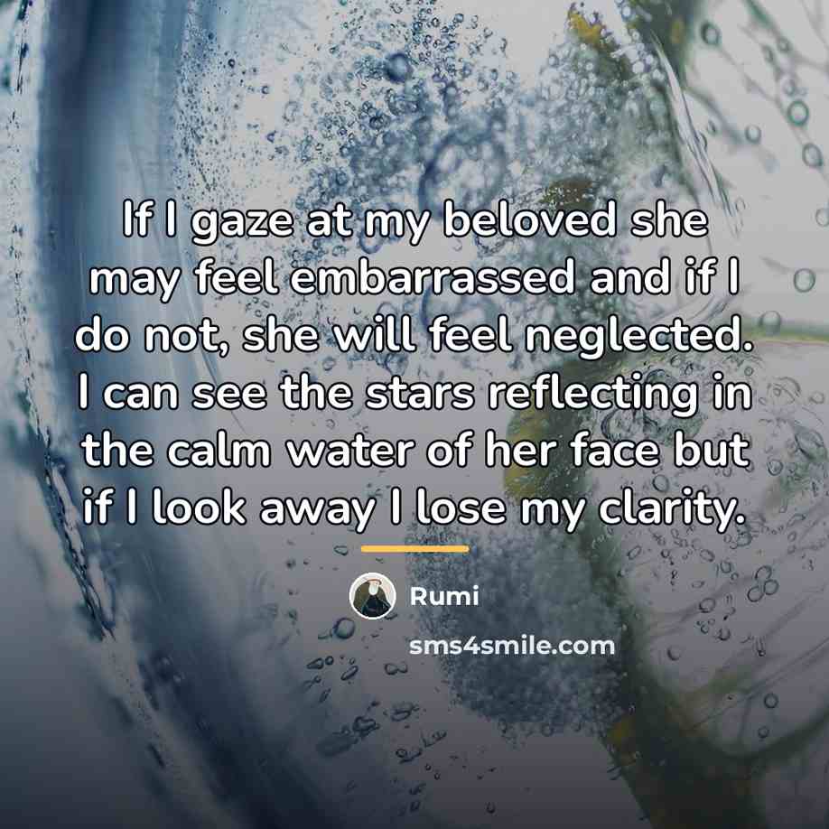 “If I gaze at my beloved she may feel embarrassed…” quote by Rumi
