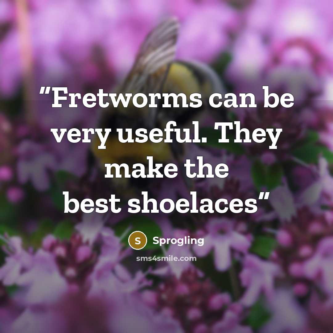 “Fretworms can be very useful. They make the best shoelaces” quote by Sprogling