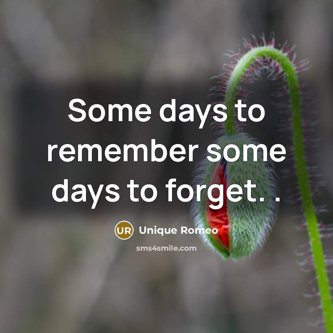 “Some days to remember some days to forget. .” quote by Unique Romeo