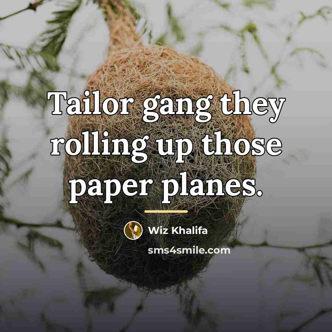 “Tailor gang they rolling up those paper planes.…” quote by Wiz Khalifa