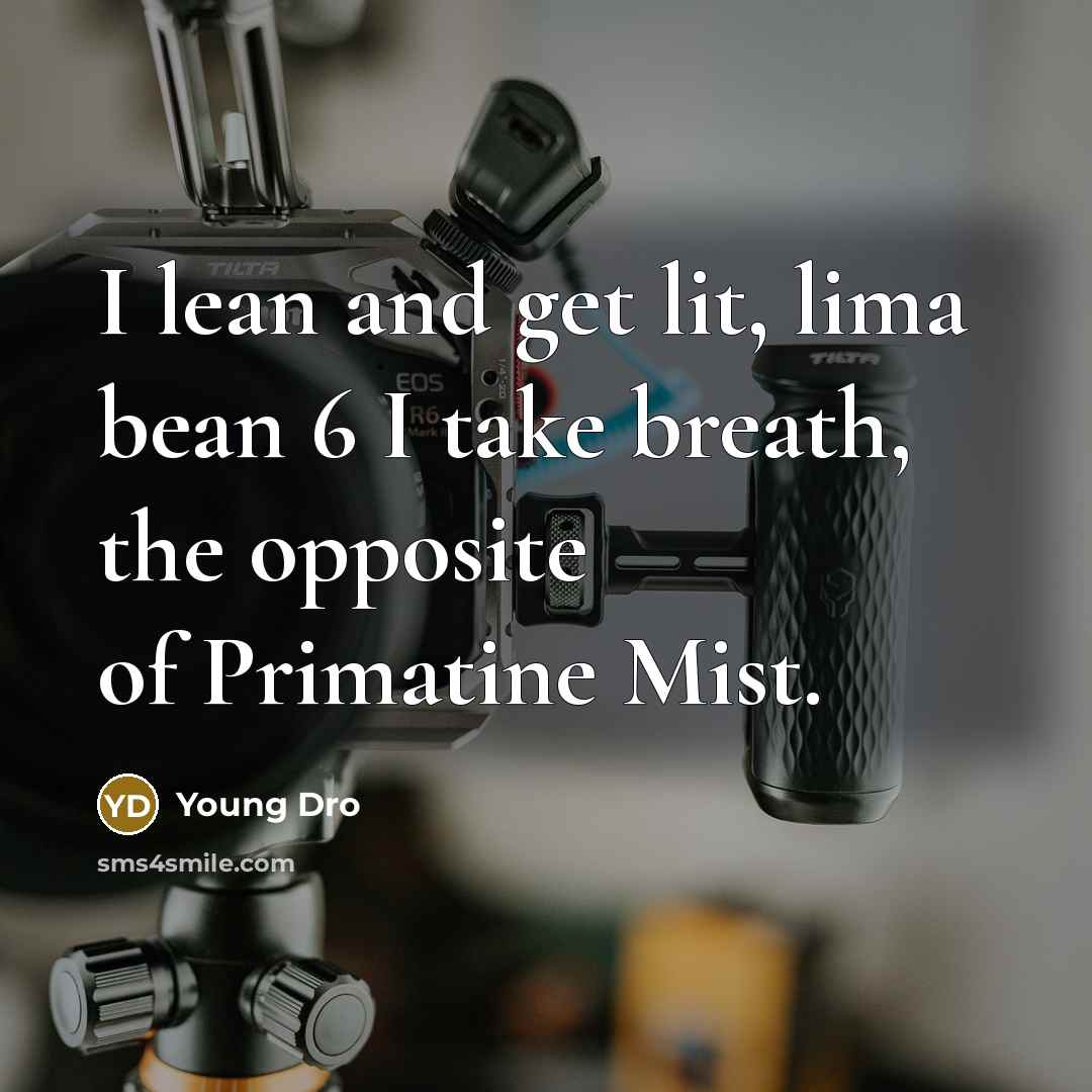 “I lean and get lit, lima bean 6 I take…” quote by Young Dro