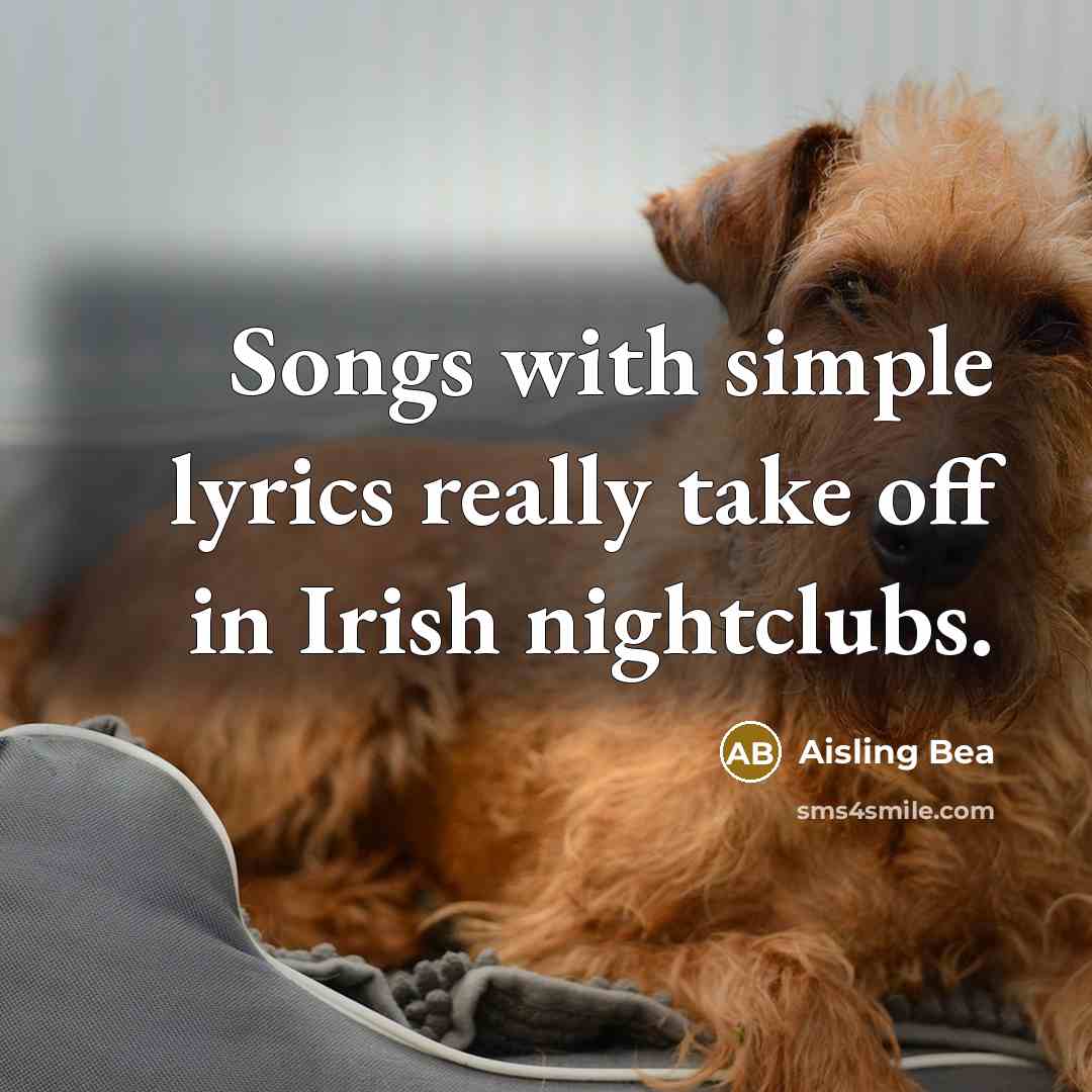 “Songs with simple lyrics really take off in Irish nightclubs.…” quote by Aisling Bea
