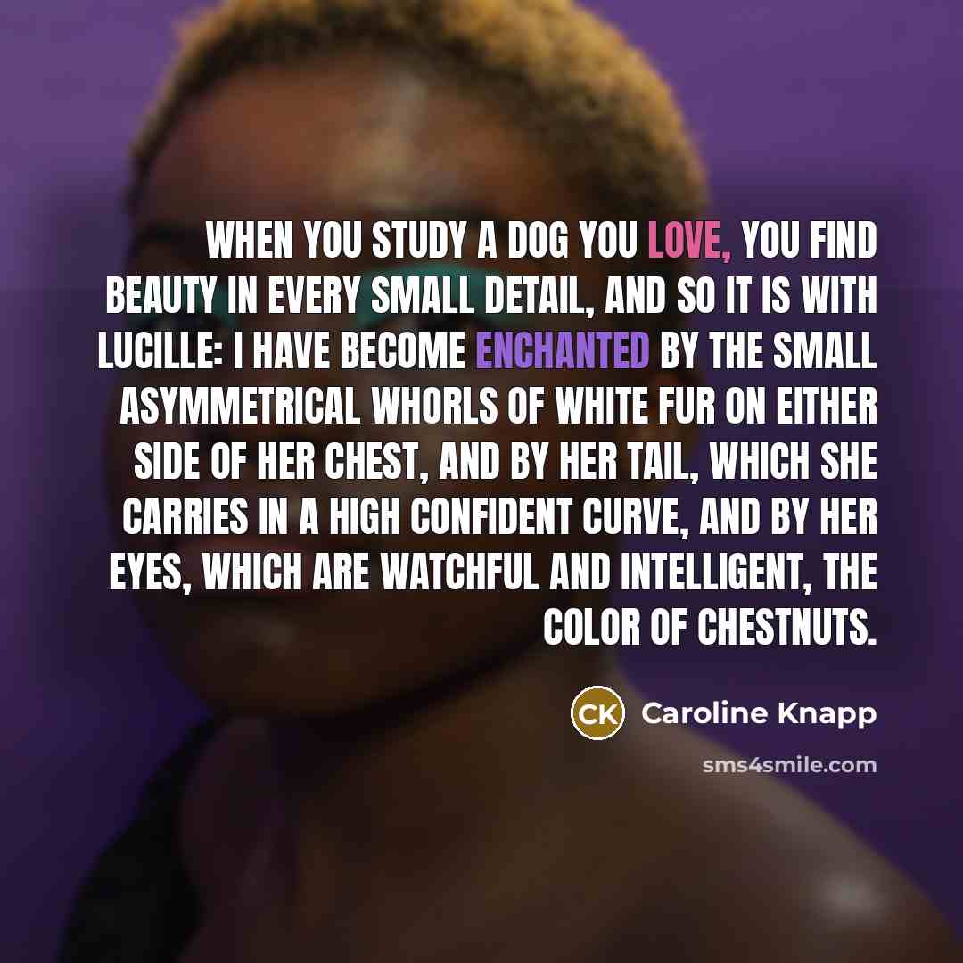 “When you study a dog you love, you find beauty…” quote by Caroline Knapp