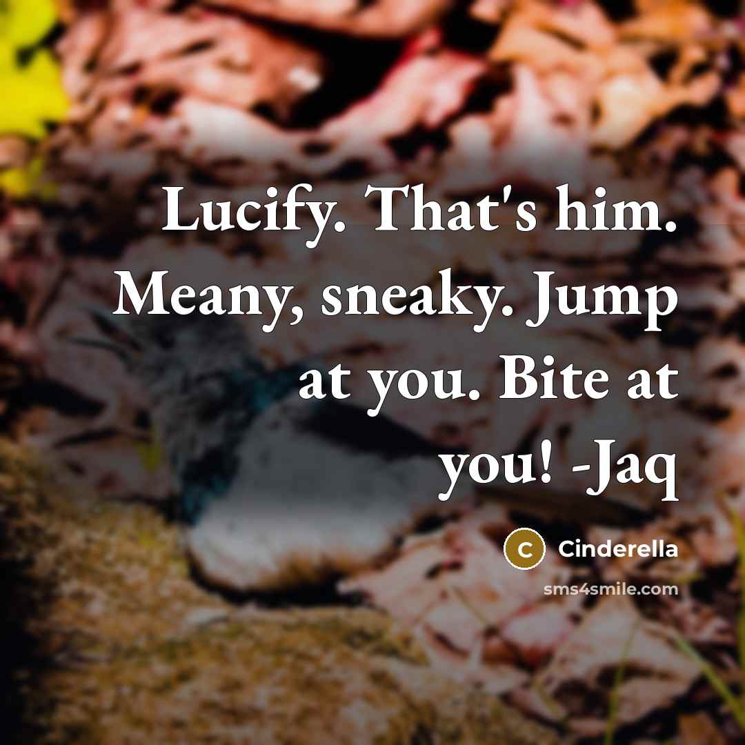 “Lucify. That's him. Meany, sneaky. Jump at you. Bite at you! -Jaq” quote by Cinderella