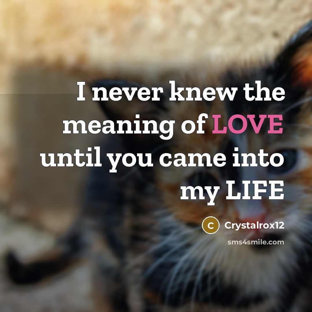 “I never knew the meaning of LOVE until you came…” quote by Crystalrox12
