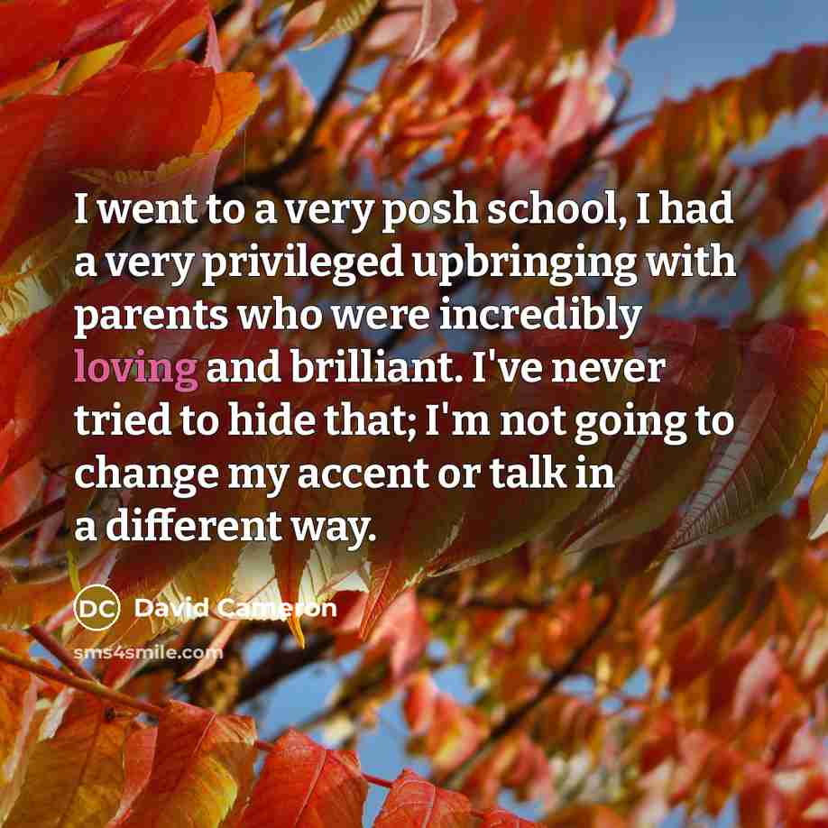 “I went to a very posh school, I had a…” quote by David Cameron