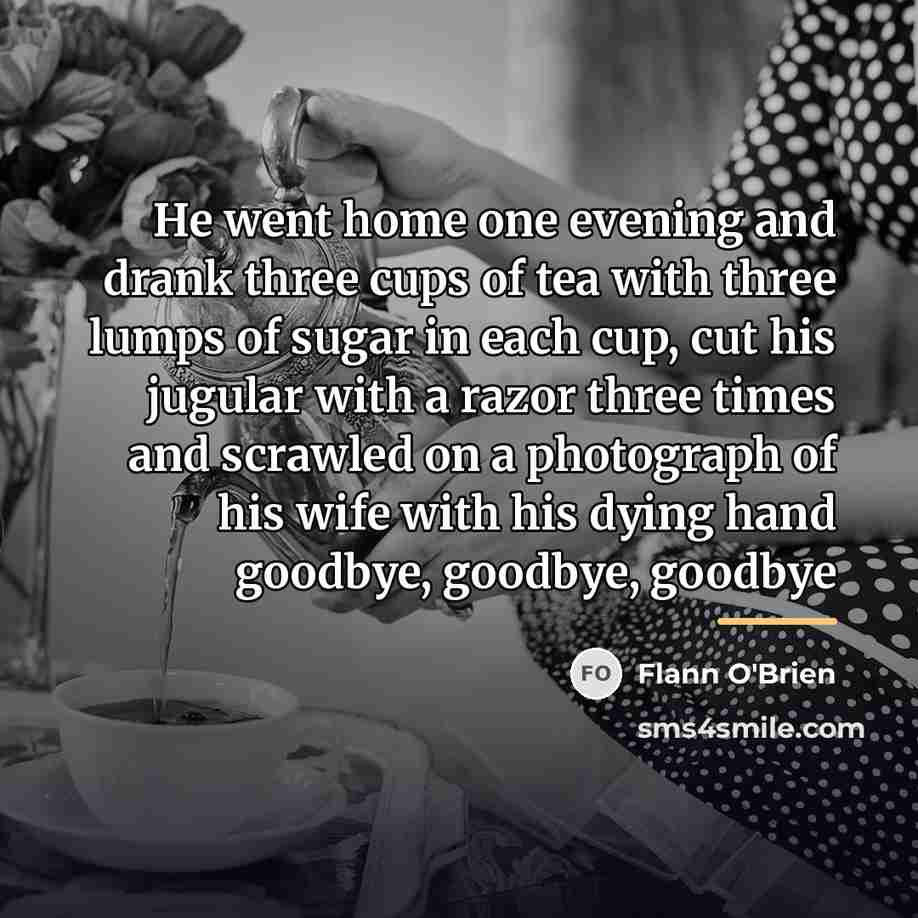 “He went home one evening and drank three cups of…” quote by Flann O'Brien