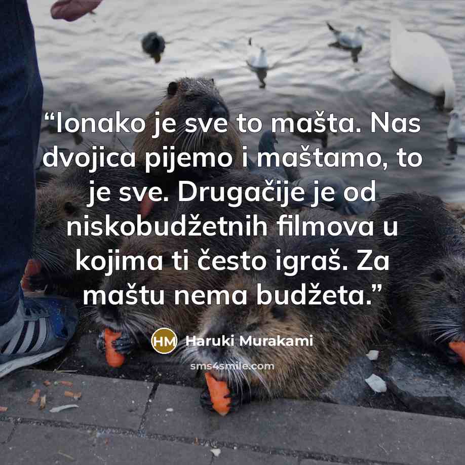 “Ionako je sve to mašta. Nas dvojica pijemo i maštamo, to je sve. Drugačije je od niskobudžetnih filmova u kojima ti često igraš. Za maštu nema budžeta.” quote by Haruki Murakami