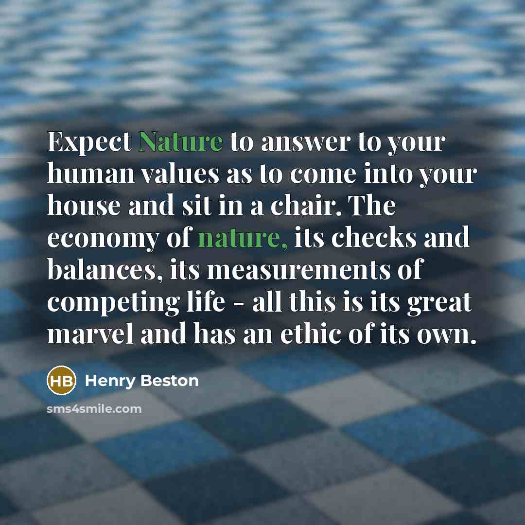 “Expect Nature to answer to your human values as to…” quote by Henry Beston