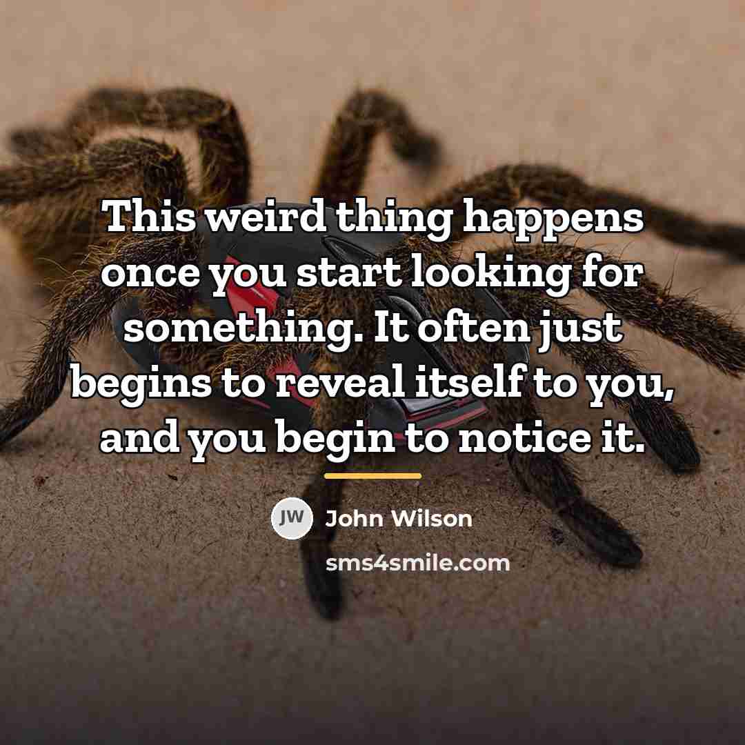 “This weird thing happens once you start looking for something.…” quote by John Wilson