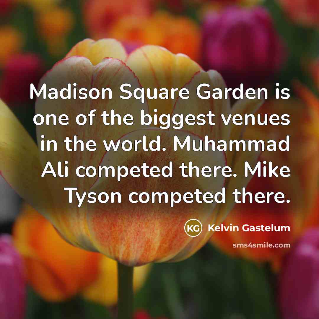 “Madison Square Garden is one of the biggest venues in…” quote by Kelvin Gastelum