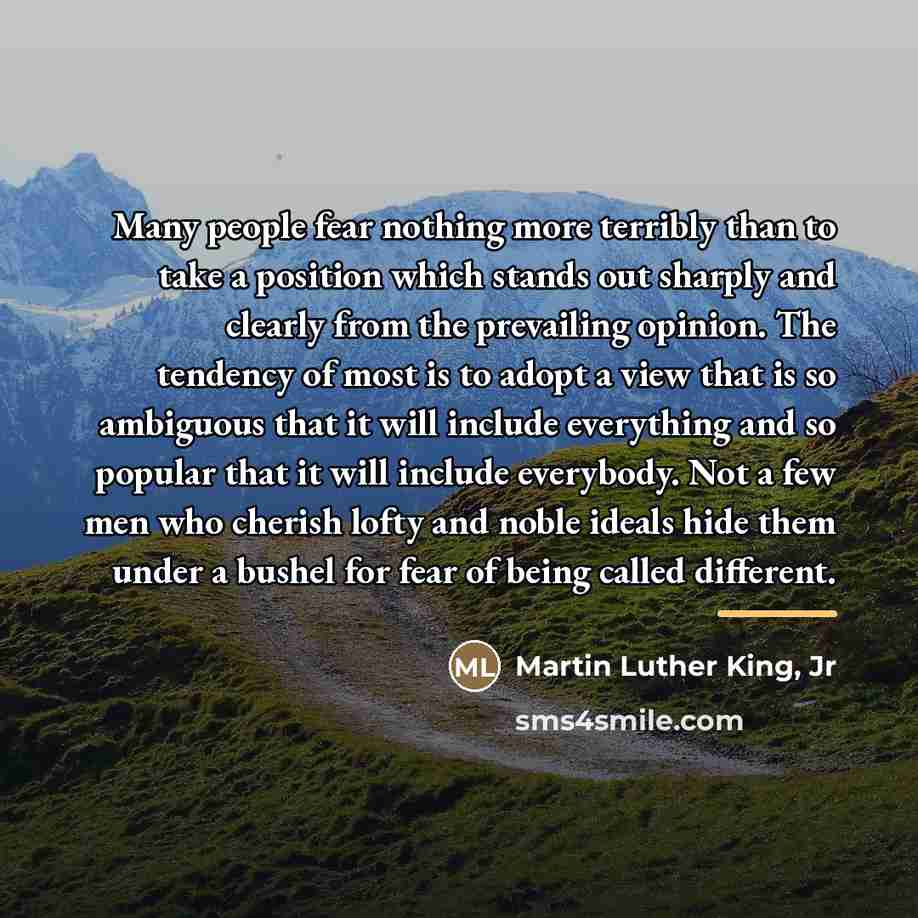 “Many people fear nothing more terribly than to take a…” quote by Martin Luther King, Jr