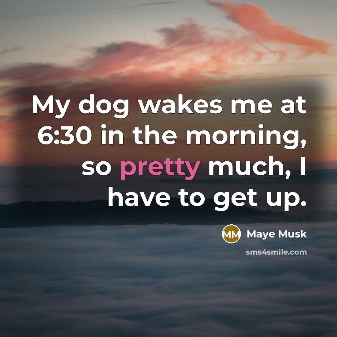 “My dog wakes me at 6:30 in the morning, so…” quote by Maye Musk