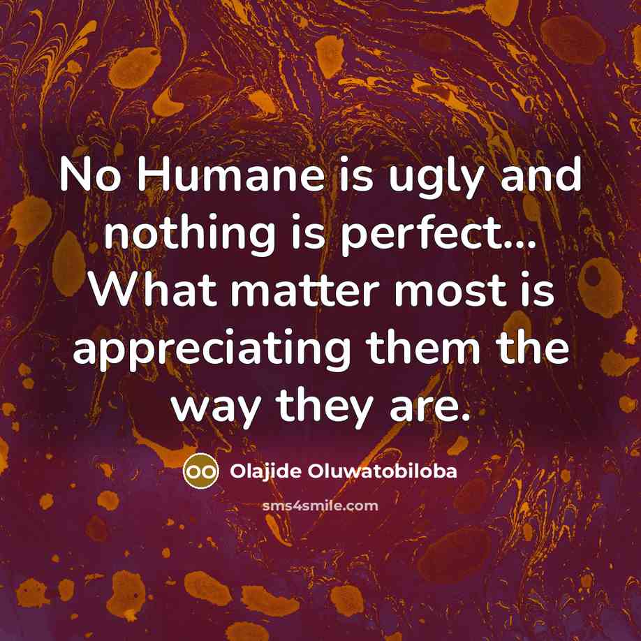 “No Humane is ugly and nothing is perfect... What matter…” quote by Olajide Oluwatobiloba