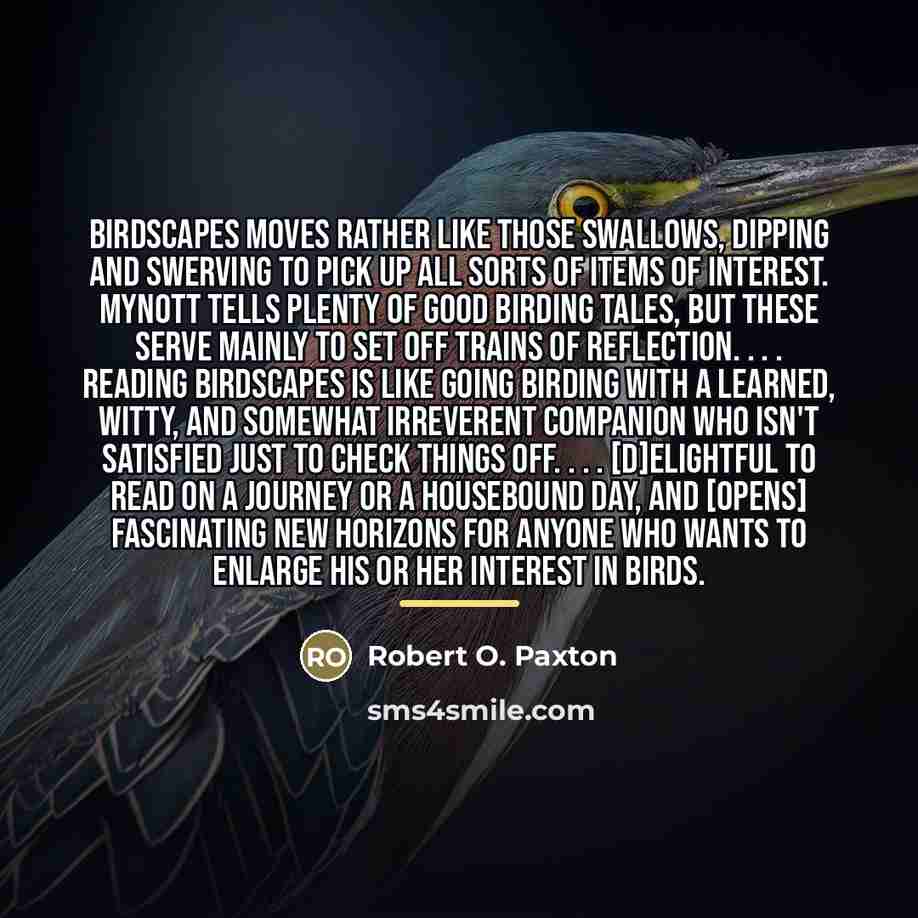 “Birdscapes moves rather like those swallows, dipping and swerving to…” quote by Robert O. Paxton