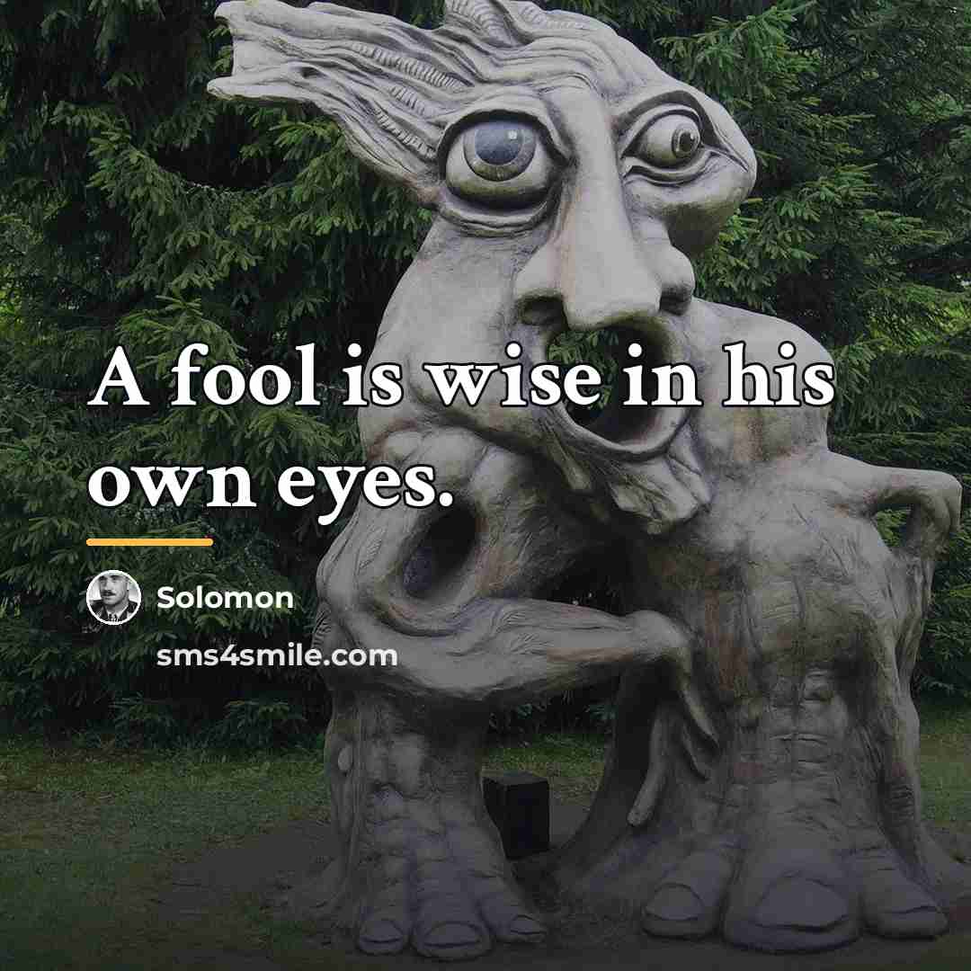 “A fool is wise in his own eyes.…” quote by Solomon
