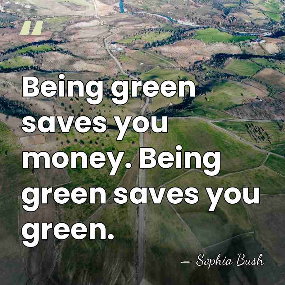 Being green saves you money. Being green saves you green. - Sophia Bush