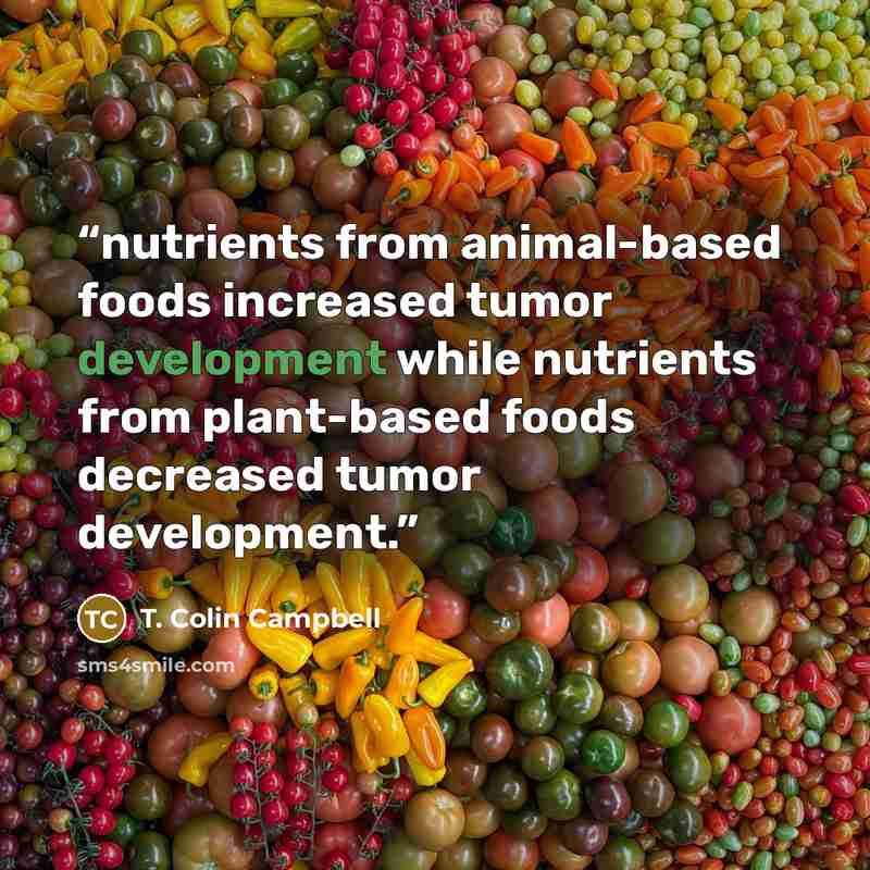 “nutrients from animal-based foods increased tumor development while nutrients from plant-based foods decreased tumor development.” quote by T. Colin Campbell