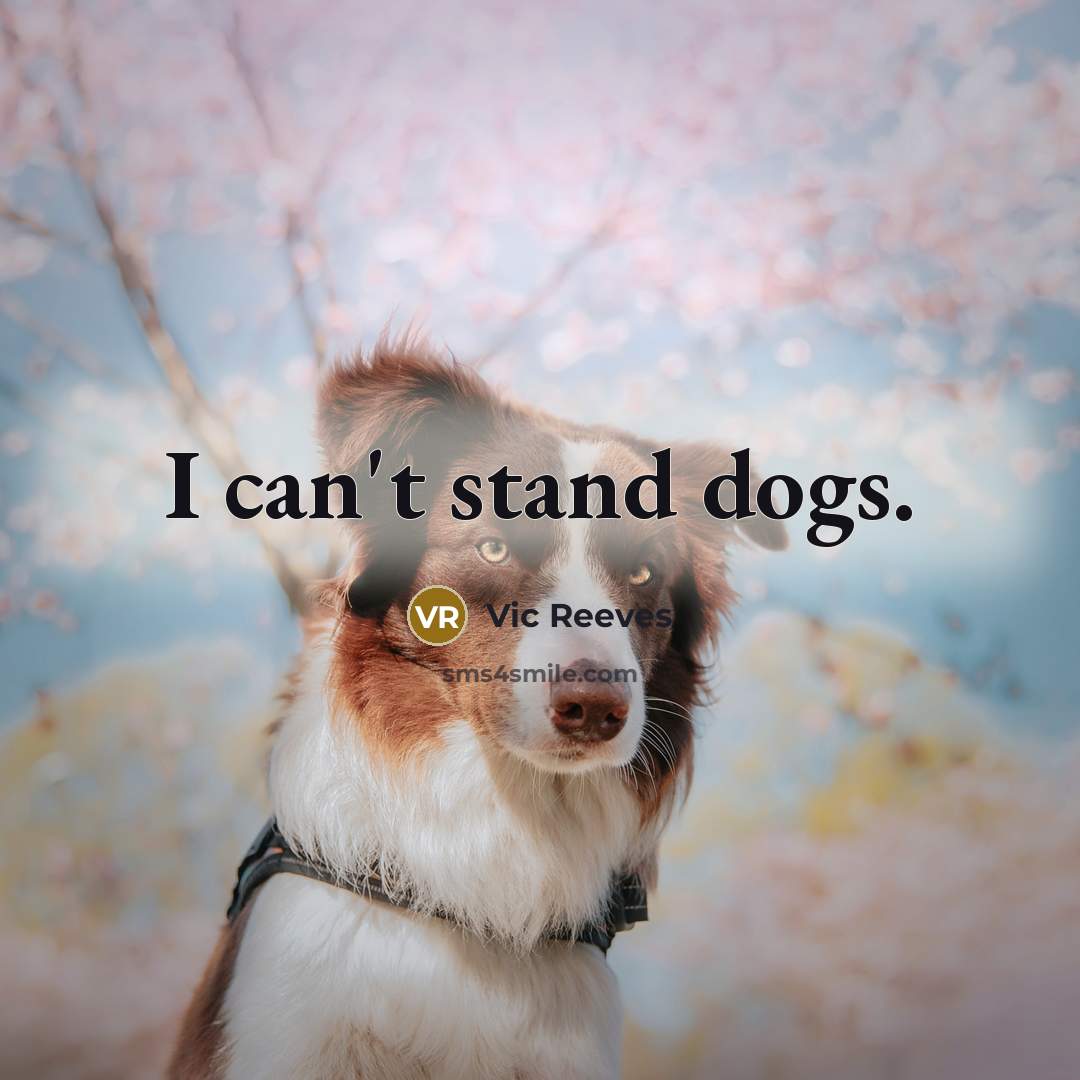 “I can't stand dogs.…” quote by Vic Reeves