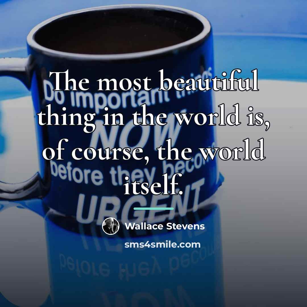 “The most beautiful thing in the world is, of course,…” quote by Wallace Stevens