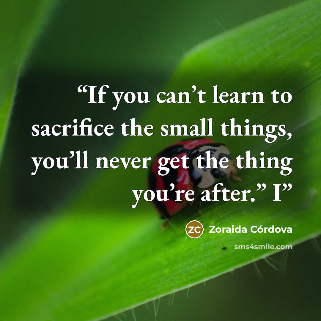 “If you can’t learn to sacrifice the small things, you’ll never get the thing you’re after.” I” quote by Zoraida Córdova