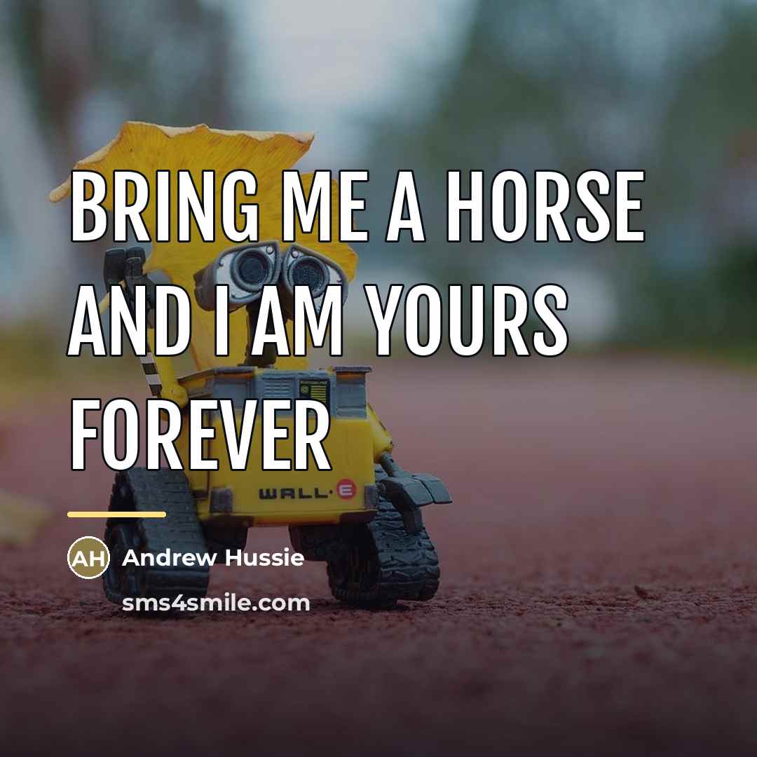 “Bring me a horse and I am yours forever…” quote by Andrew Hussie