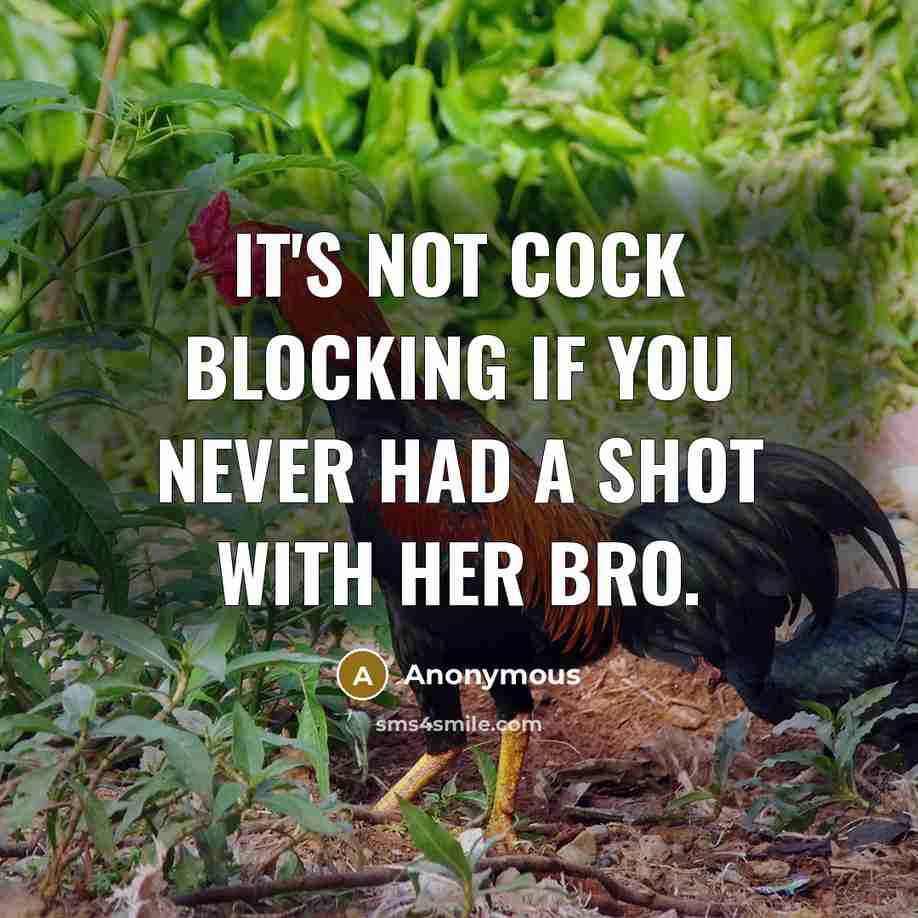 “It's not cock blocking if you never had a shot with her bro.” quote by Anonymous