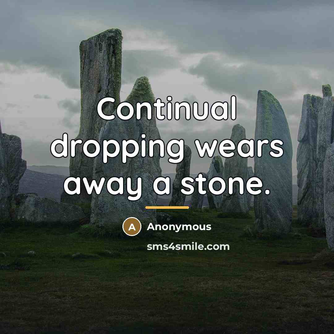 “Continual dropping wears away a stone.…” quote by Anonymous