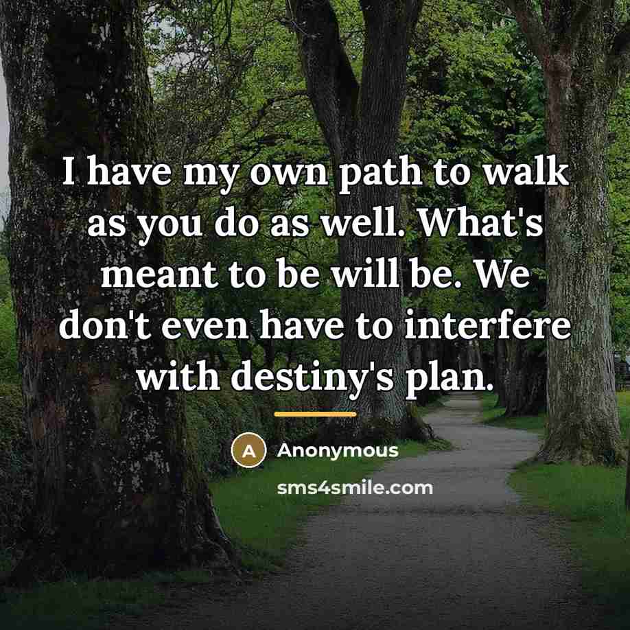 “I have my own path to walk as you do as well. What's meant to be will be. We don't even have to interfere with destiny's plan.” quote by Anonymous