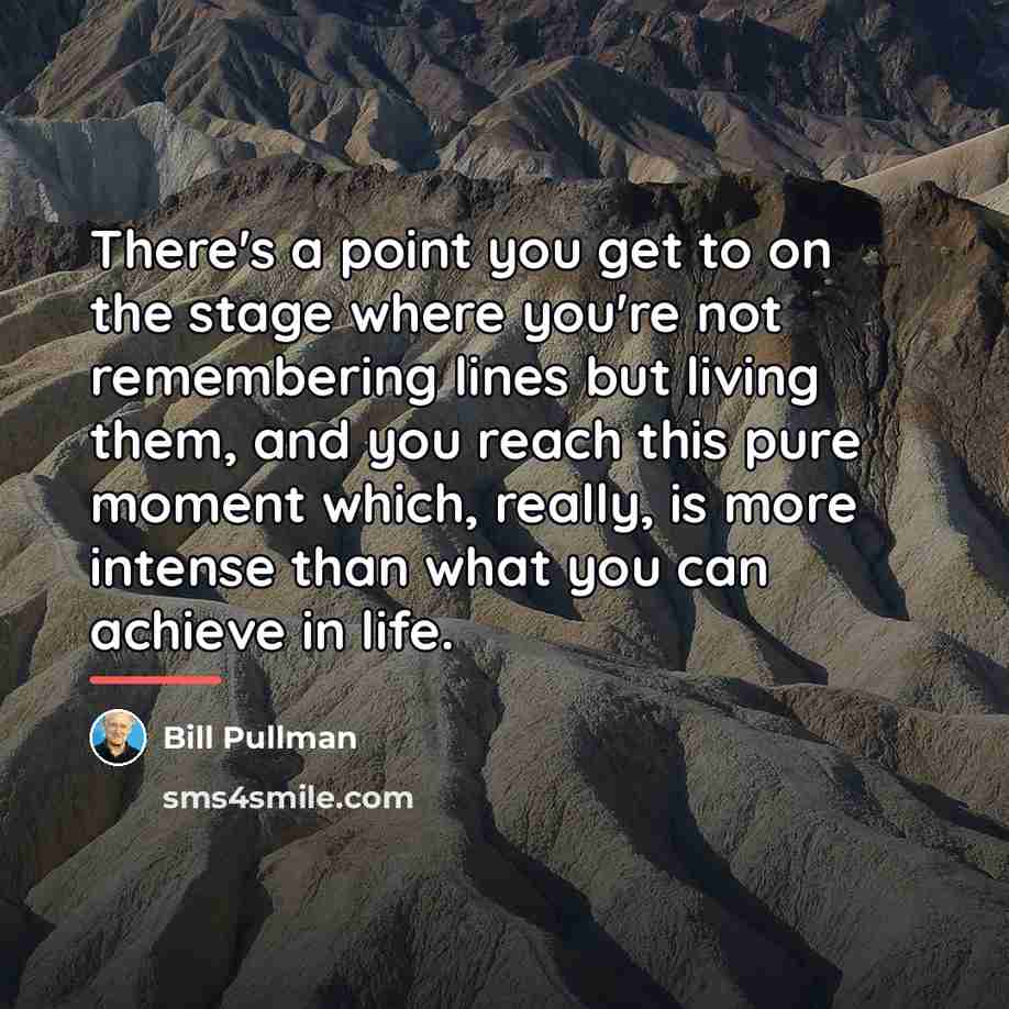 “There's a point you get to on the stage where…” quote by Bill Pullman