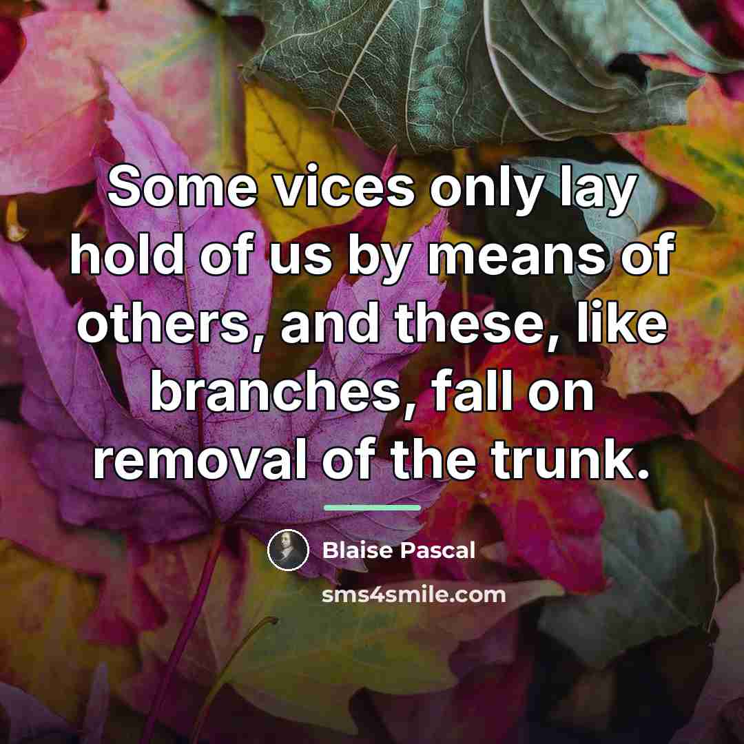 “Some vices only lay hold of us by means of…” quote by Blaise Pascal
