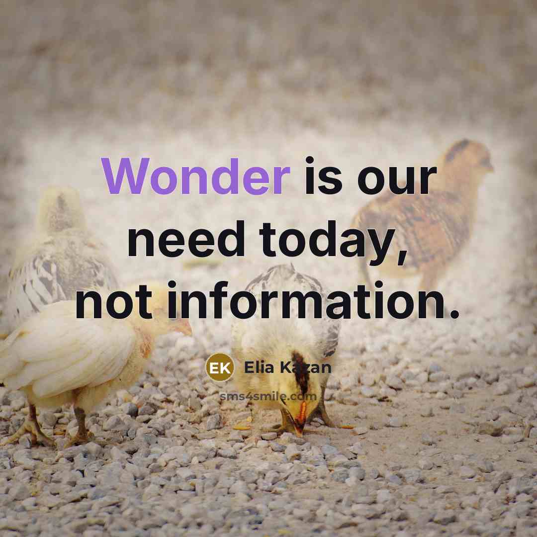 “Wonder is our need today, not information.…” quote by Elia Kazan