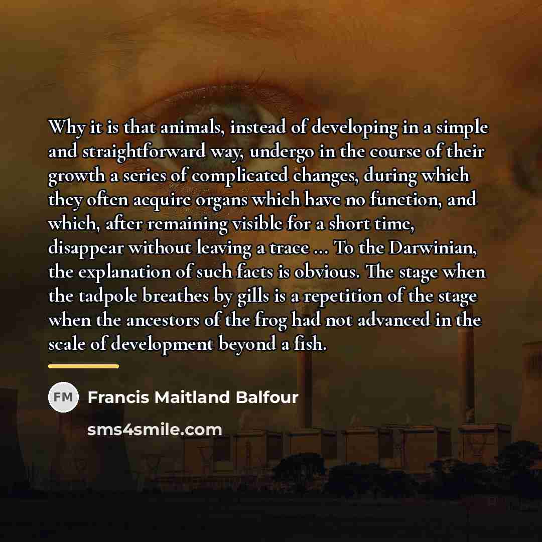“Why it is that animals, instead of developing in a…” quote by Francis Maitland Balfour