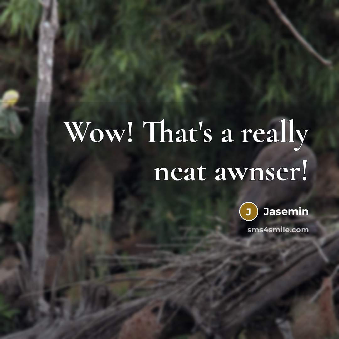 “Wow! That's a really neat awnser!” quote by Jasemin