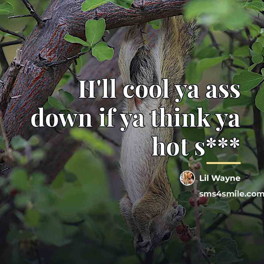 “II'll cool ya ass down if ya think ya hot…” quote by Lil Wayne
