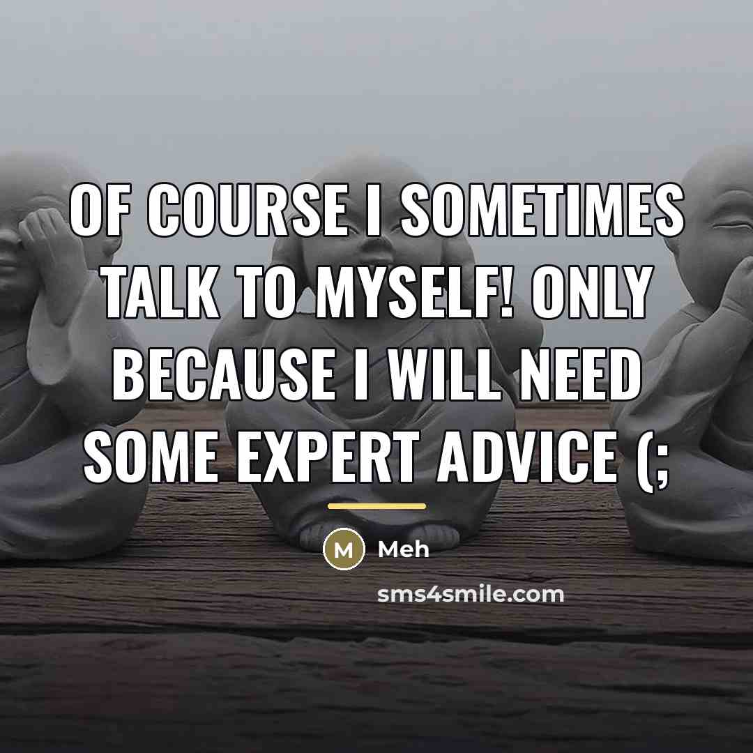 “Of course I sometimes talk to myself! only because I…” quote by Meh