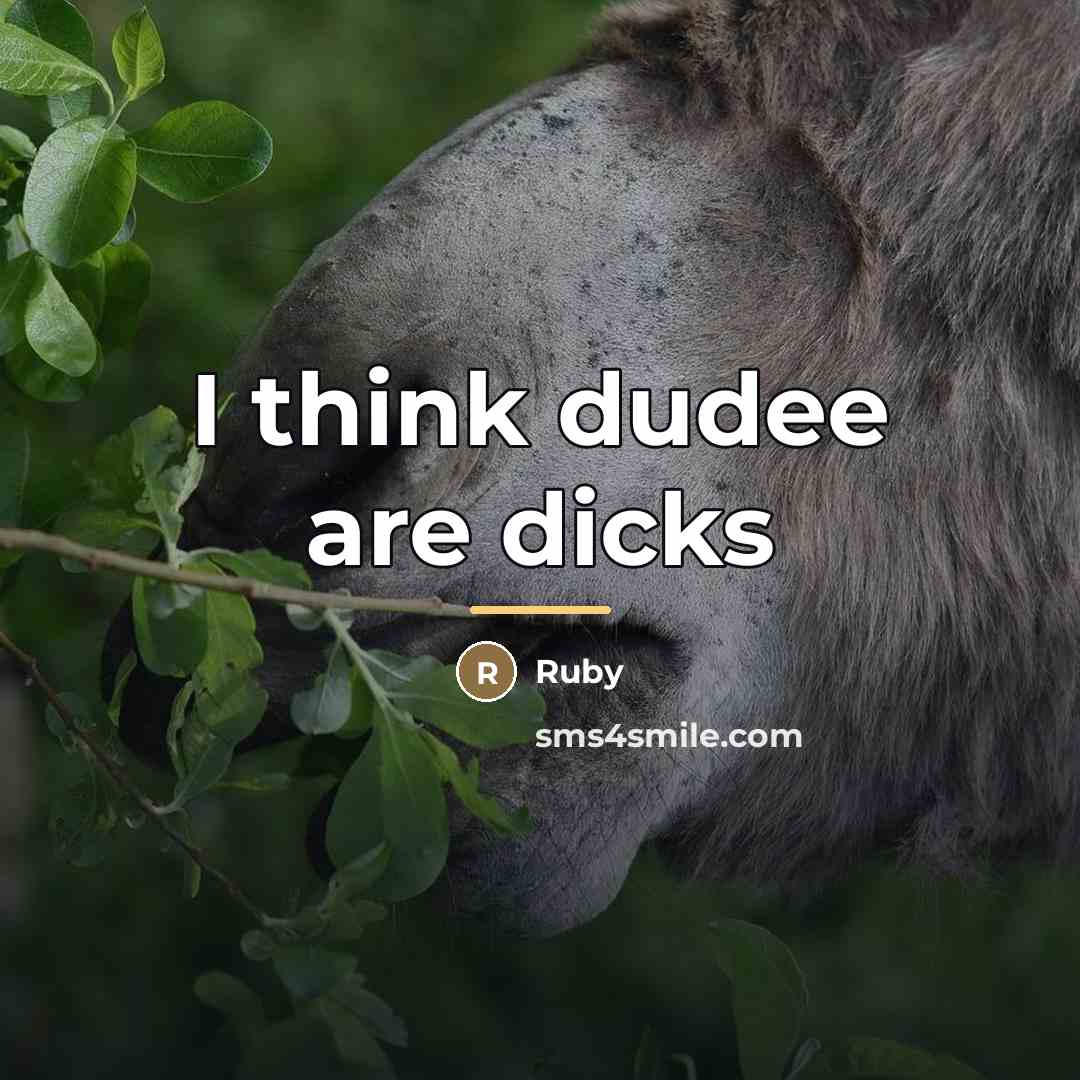 “I think dudee are dicks…” quote by Ruby