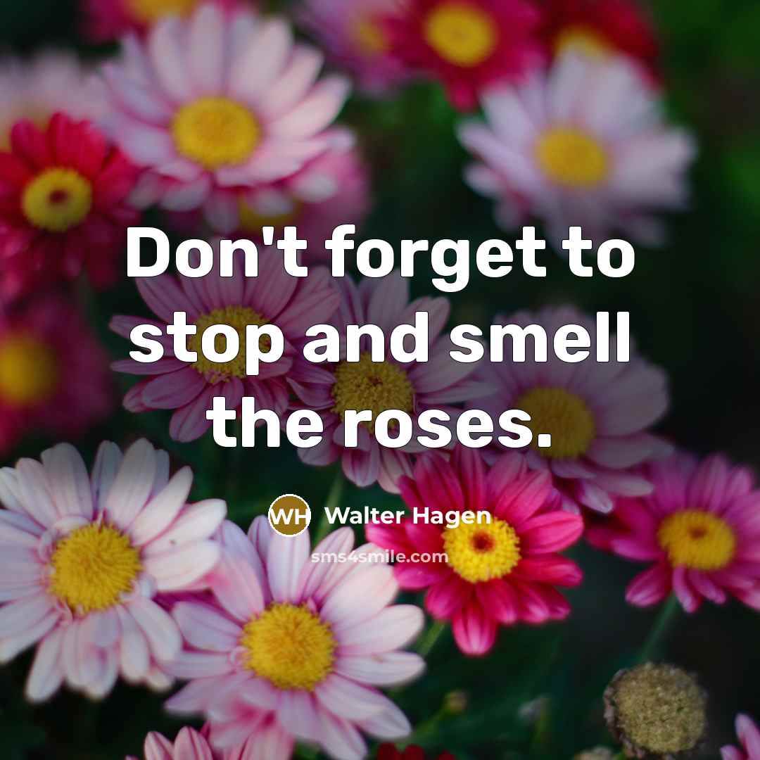 “Don't forget to stop and smell the roses.…” quote by Walter Hagen