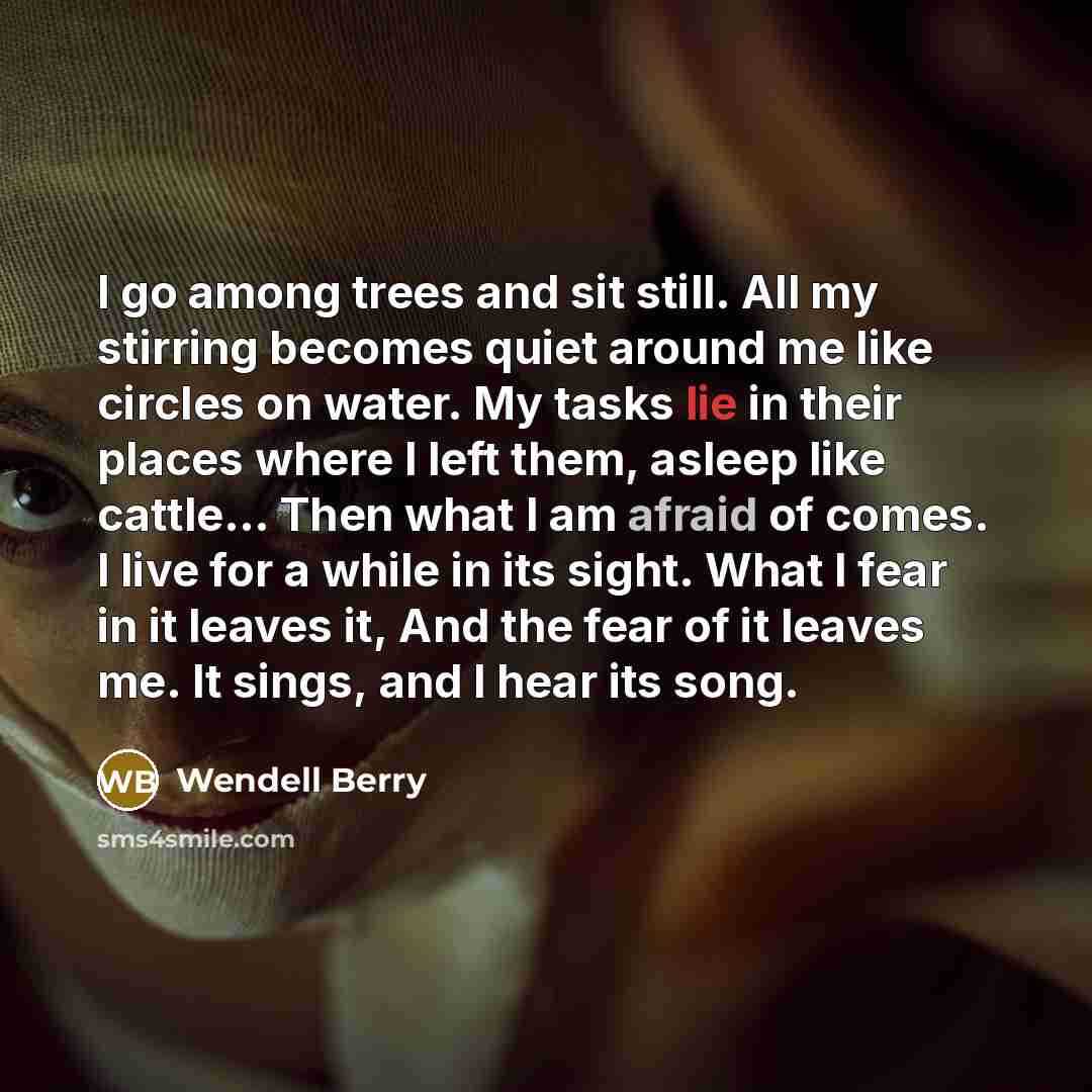 “I go among trees and sit still. All my stirring…” quote by Wendell Berry