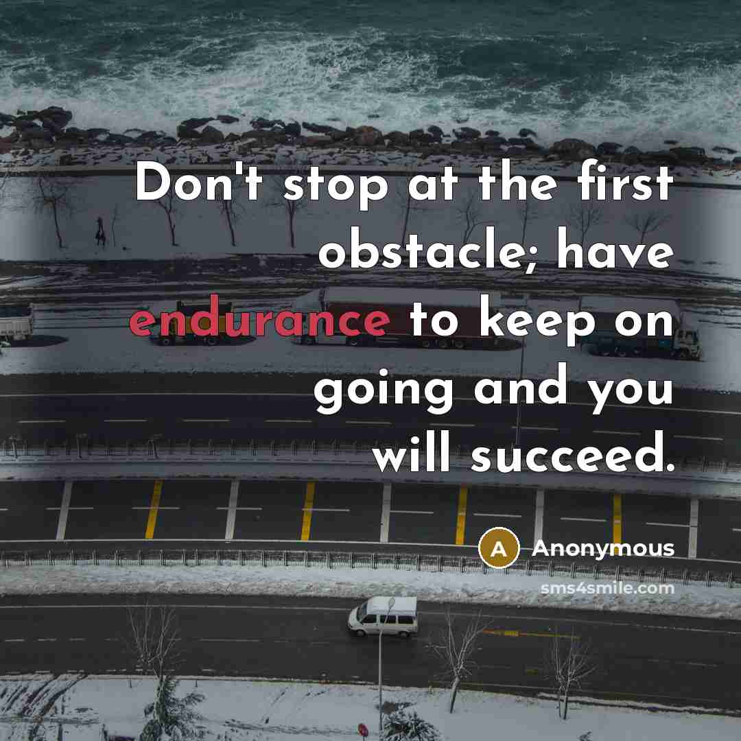 “Don't stop at the first obstacle; have endurance to keep on going and you will succeed.” quote by Anonymous