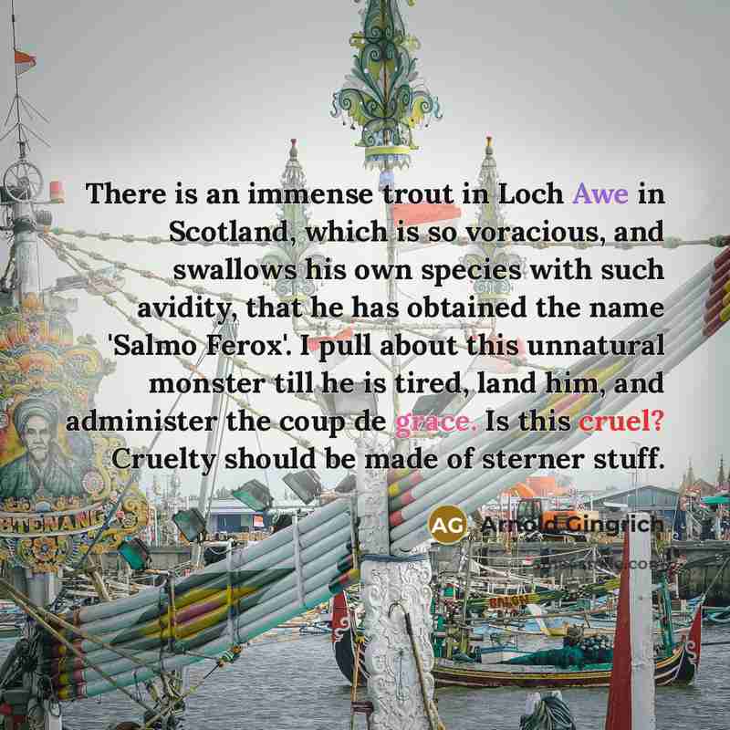 “There is an immense trout in Loch Awe in Scotland,…” quote by Arnold Gingrich