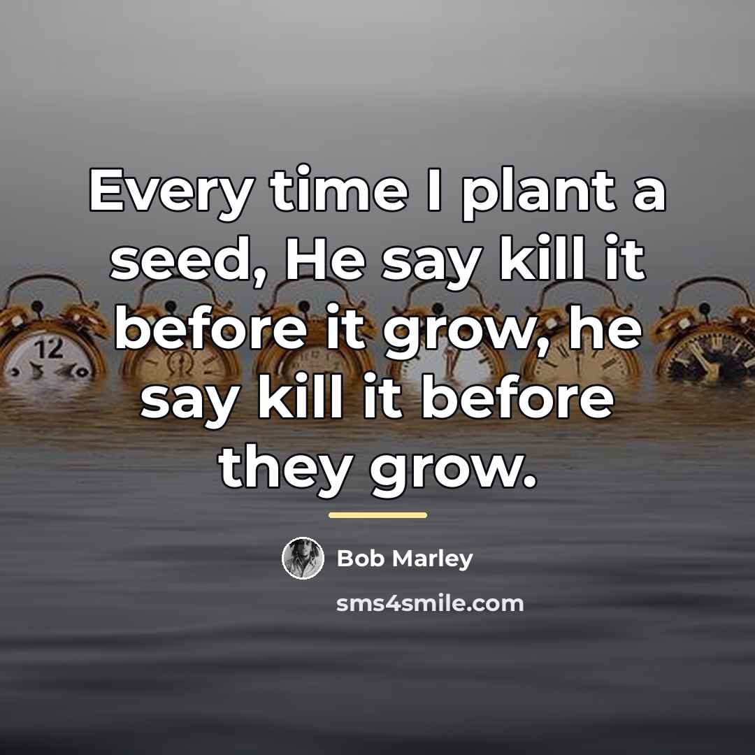 “Every time I plant a seed, He say kill it…” quote by Bob Marley