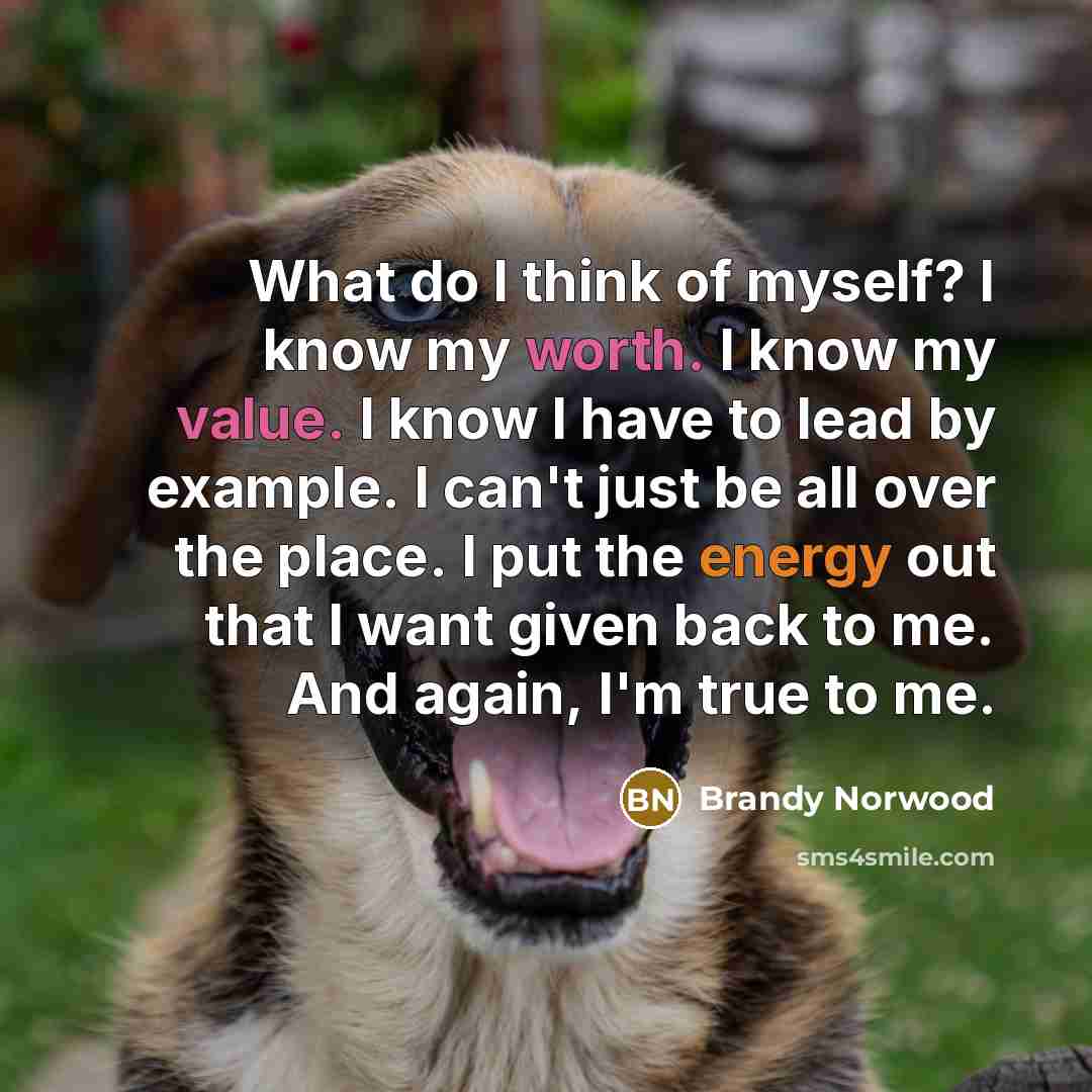 “What do I think of myself? I know my worth.…” quote by Brandy Norwood