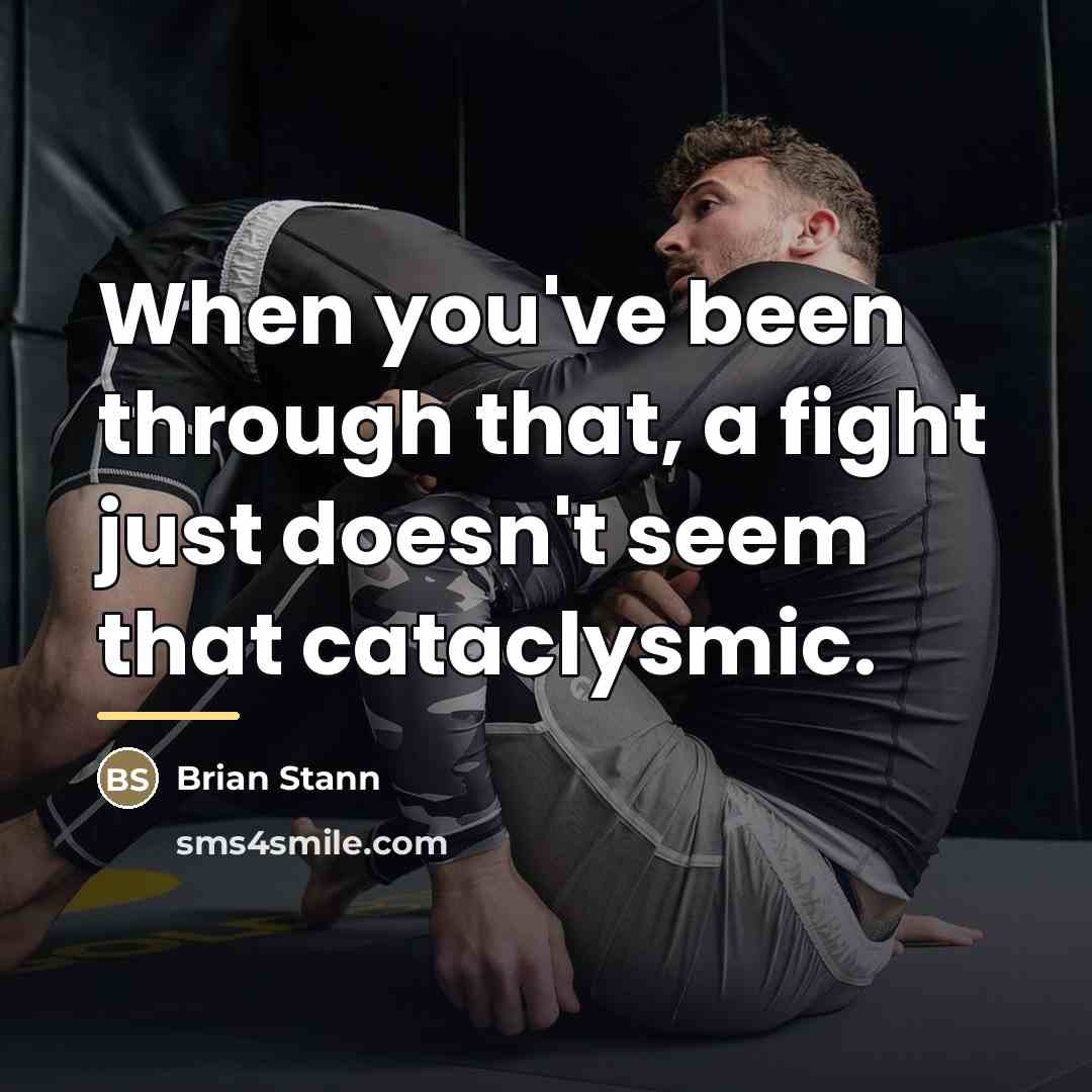 “When you've been through that, a fight just doesn't seem…” quote by Brian Stann