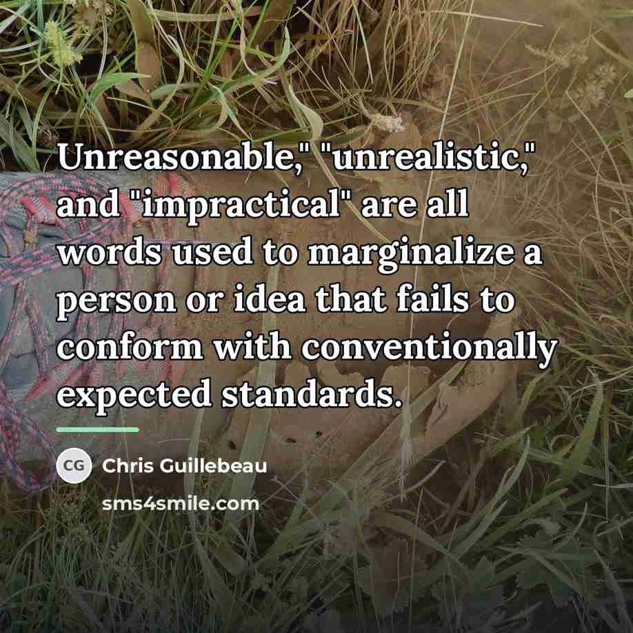 “Unreasonable," "unrealistic," and "impractical" are all words used to marginalize…” quote by Chris Guillebeau