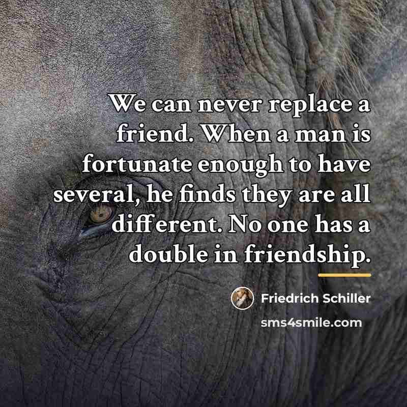 “We can never replace a friend. When a man is…” quote by Friedrich Schiller