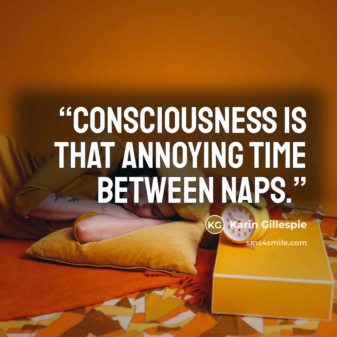 “Consciousness is that annoying time between naps.” quote by Karin Gillespie