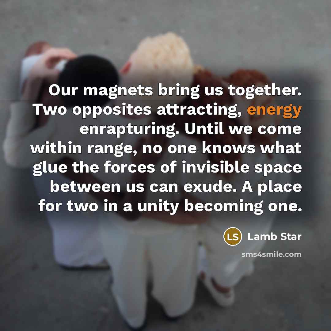 “Our magnets bring us together. Two opposites attracting, energy enrapturing.…” quote by Lamb Star